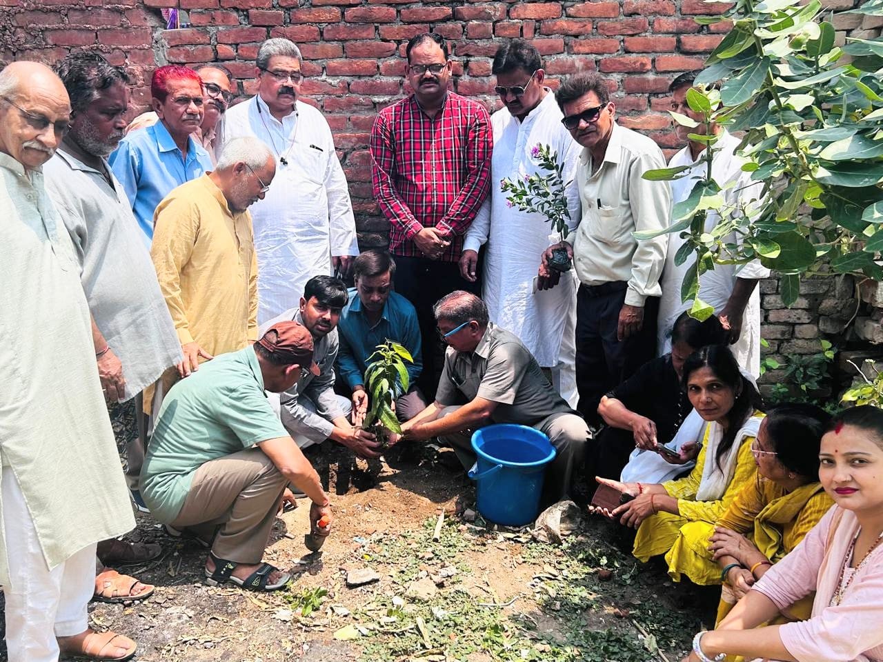 कांग्रेस ने विश्व पर्यावरण दिवस पर किया वृक्षारोपण