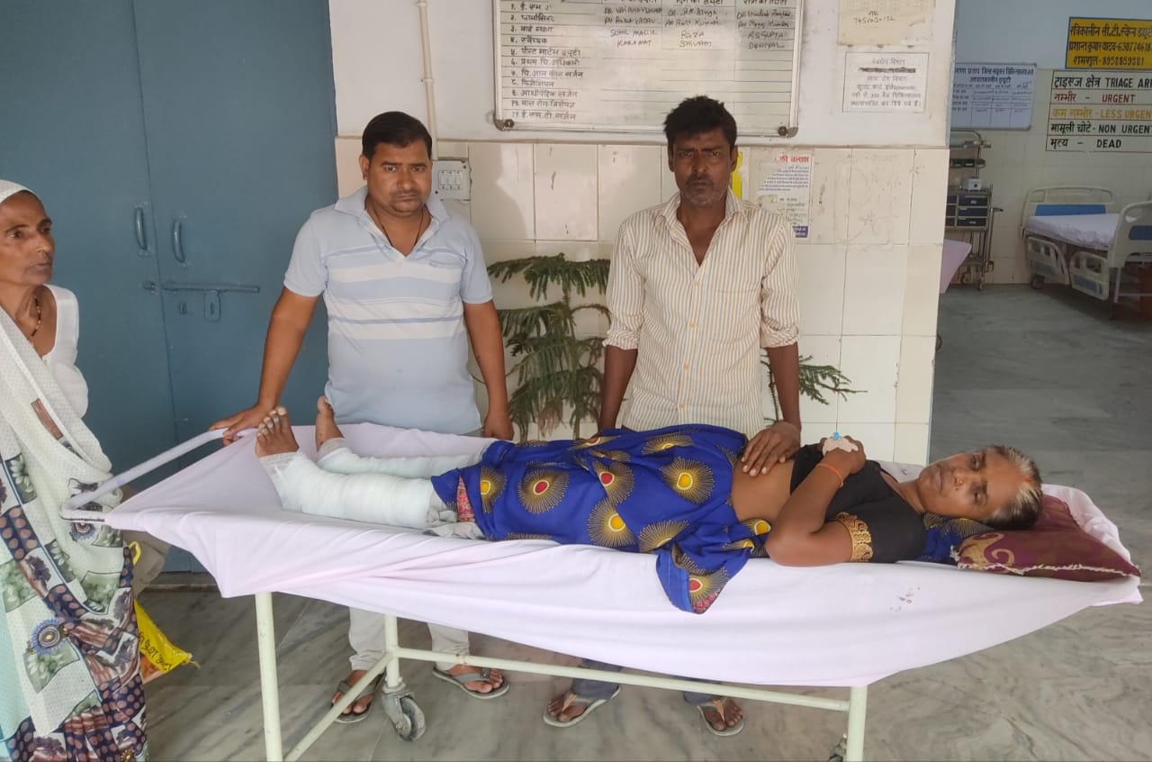 बंदरों के हमले से छत से गिरी महिला, हालत गंभीर