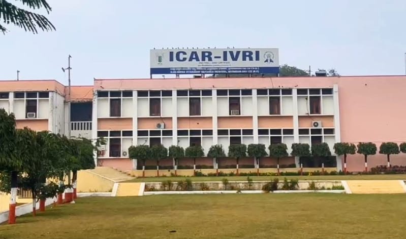 साइबर ठगों ने सीनियर साइंटिस्ट से ठगे 1.29 करोड़ रूपए